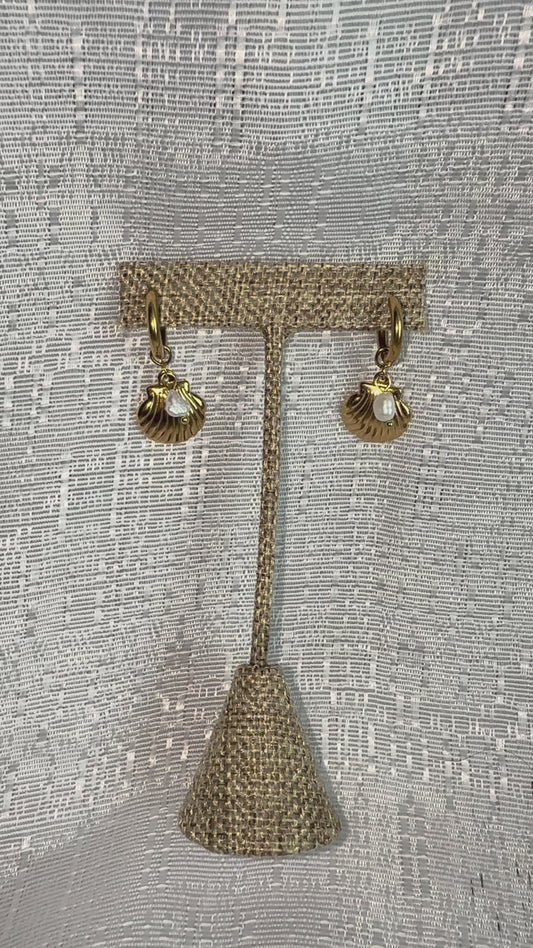 Sea Shell Earrings